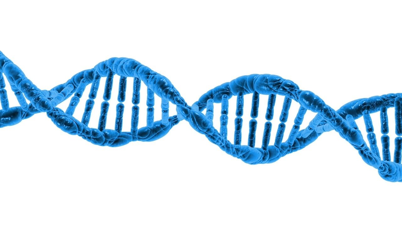 實驗室桌面上一段 DNA 雙螺旋結構示意圖，無人物，無文字
