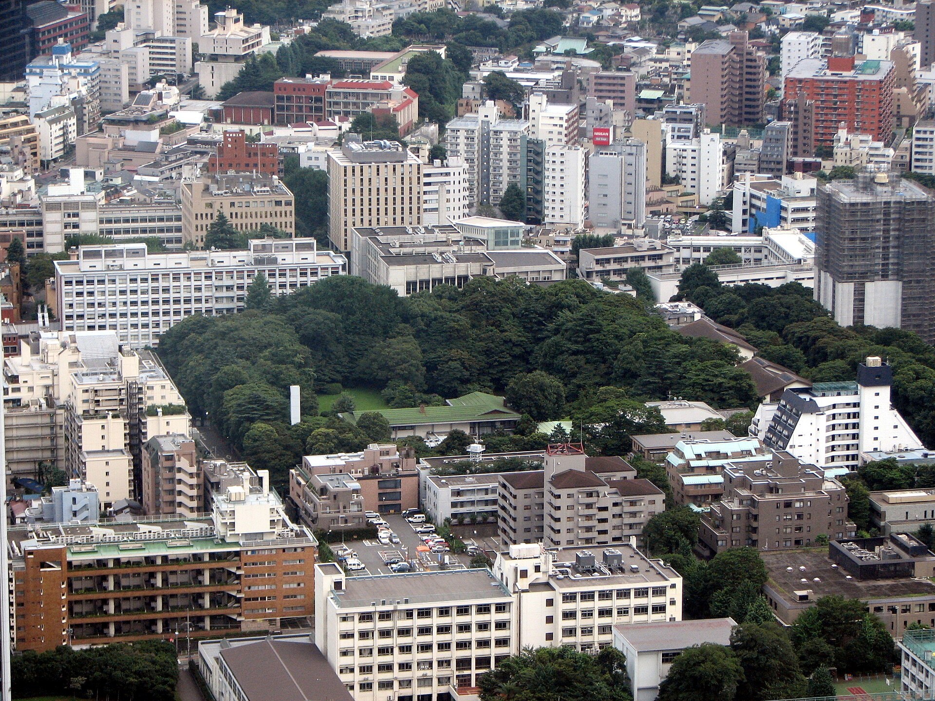 機械人尾巴 Arque 綁喺人後腰，由多節分段組成（示意圖）