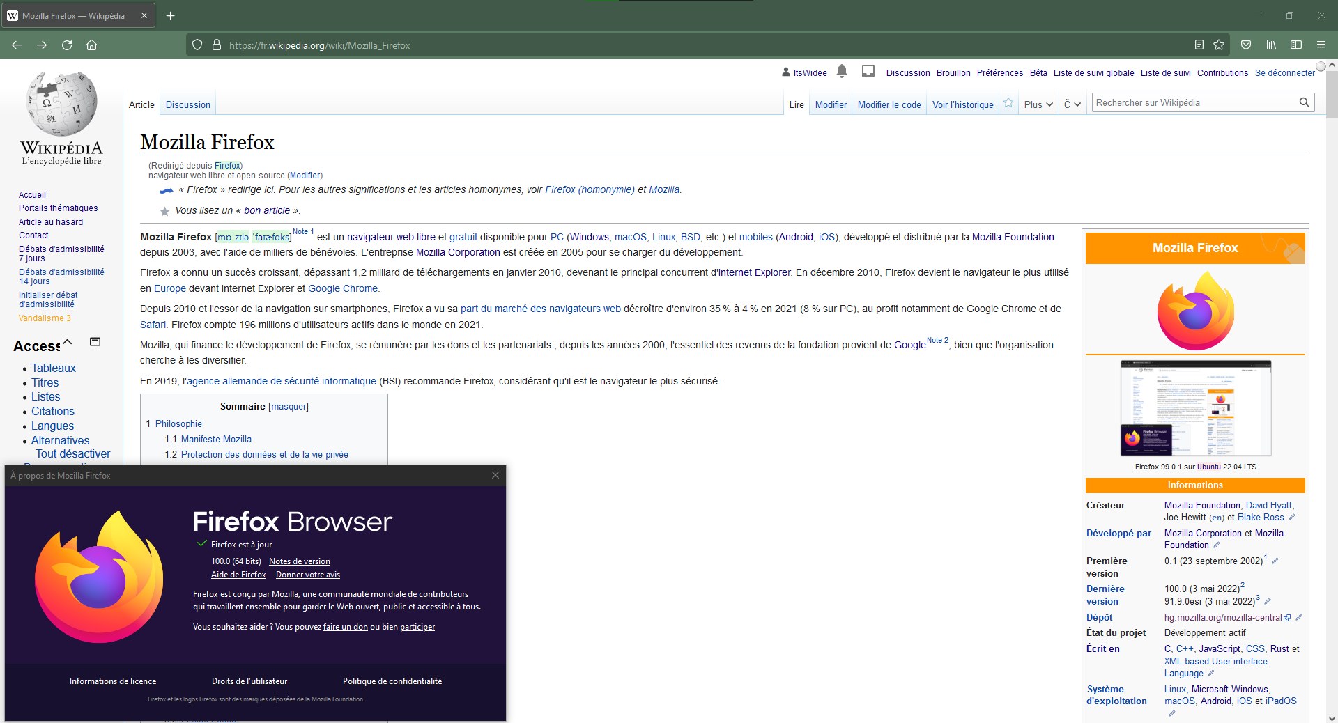 Firefox 瀏覽器畫面，多個分頁顯示，其中一個分頁係網頁表單，另一個分頁係個人作品集，箭頭顯示資料流動方向。