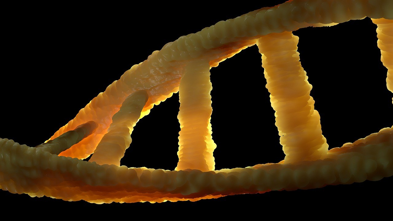 示意圖：微光下嘅 DNA 雙螺旋結構，旁邊係一個程式編碼介面，無文字